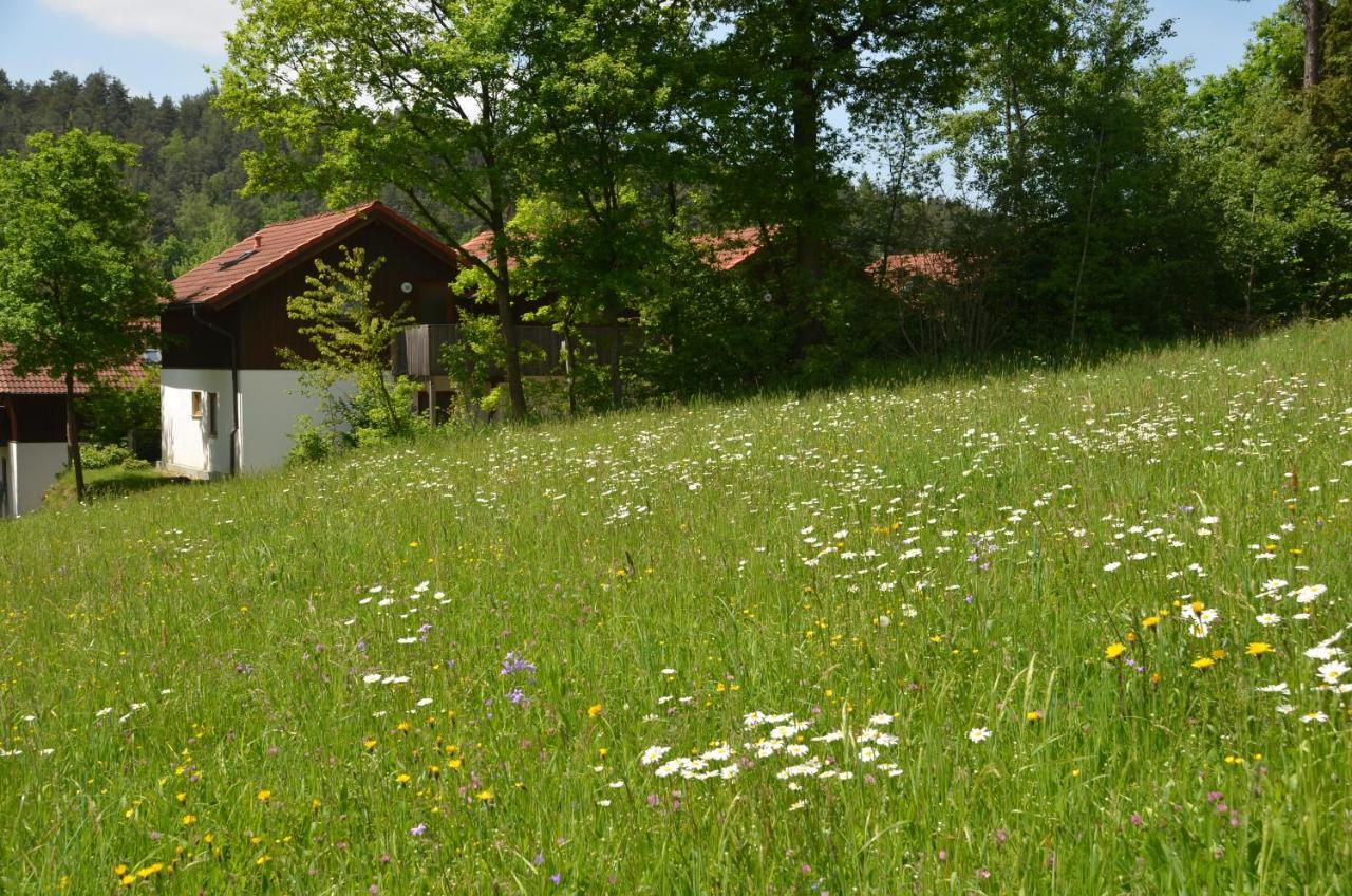 Ferienwohnung Wildgatter Grafenwiesen Exterior photo